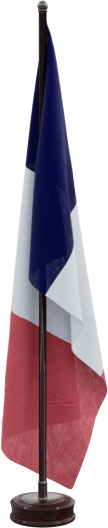 France flag on wooden pole